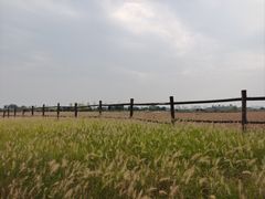 -汉长安城未央宫国家考古遗址公园