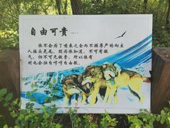 -沈阳森林动物园