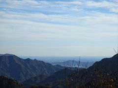 -大岭沟猕猴桃谷风景区