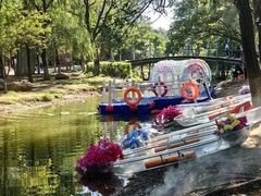 -长白岛森林公园