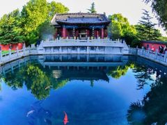 -百脉泉景区