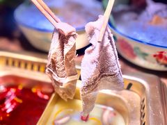 -九鼎轩脆毛肚火锅(三钢里店)