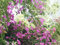 -大妙火锅·非物质文化遗产(东湖公园店)