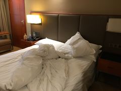 -成都天府丽都喜来登饭店