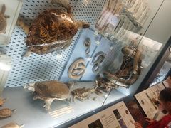 -浙江自然博物院(杭州馆)