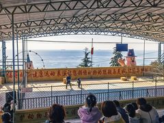 -东方熊牧场