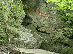 -天女山森林公园