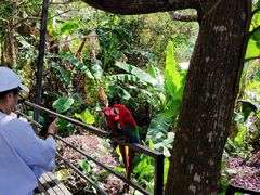 -呀诺达热带雨林