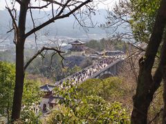 -庐山风景名胜区-东林大佛