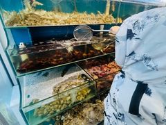 -仙螺岛海鲜自助餐厅(总店)