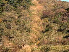 -东天目山风景区