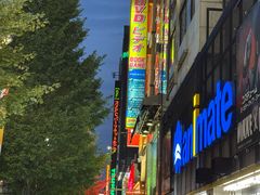 -Animate(秋叶原本馆)