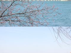 -颐和园