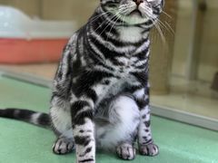 -藦茜花园宠物主题亲子互动体验馆(国顺东路店)