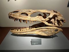 -自贡恐龙博物馆