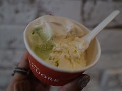 斑斓椰子-Dal Cuore 达可芮冰淇淋(陕西北路店)