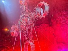 -广州长隆国际大马戏