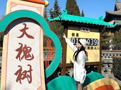 -大槐树寻根祭祖园