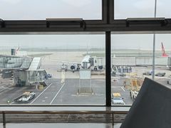 -郑州新郑国际机场