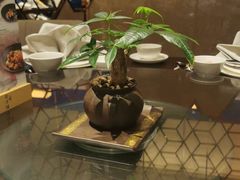 -彩丰楼·中餐厅(国家会展中心上海洲际店)