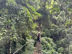 -西双版纳原始森林公园