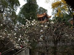 -昆明市金殿名胜区