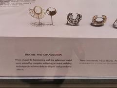 -美国自然历史博物馆