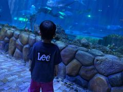 -华夏文旅海洋公园