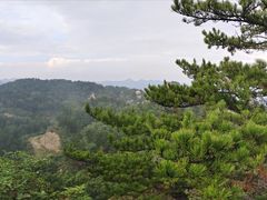 -六里坪国家森林公园