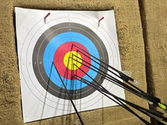 -蓝天射箭馆·专业射箭运动(诚丰广场店)