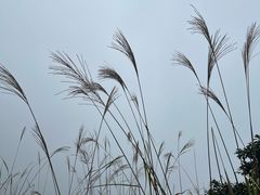 -惠东观音山