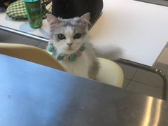 -怪兽屋·羊驼·猫咖·狗咖(俊华广场店)