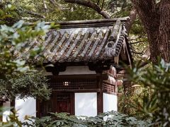 -上海波特曼丽思卡尔顿酒店