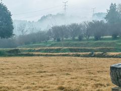 -唐崖土司城遗址