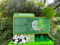 -柳州市动物园