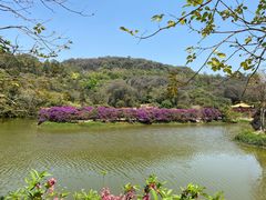 -南国桃园旅游度假区