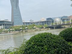 -运河游船(武林门码头)