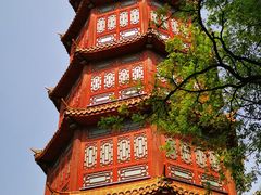 -房湖公园