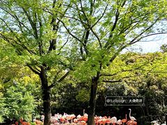-上海野生动物园