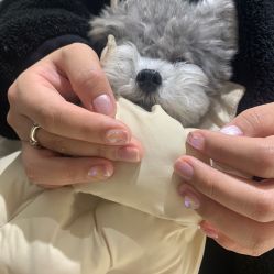 -BELLAREAL新美社