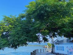 -东钱湖旅游度假区