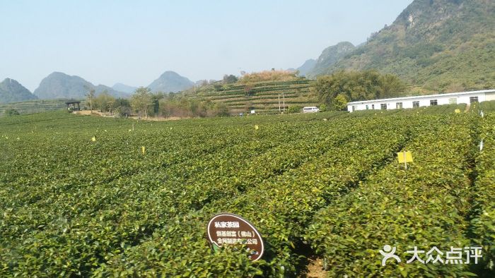 400全讯白菜四川省雅安市红灵实业有限公司1批次工夫红茶不合格