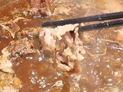 -怪怪龙虾·澳洲蓝龙上新(惊驾路店)