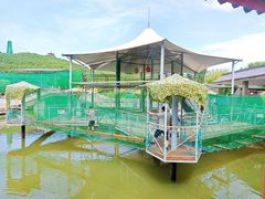 -威海华夏城景区