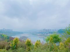 -金海湾滨江公园