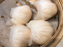 -裕.鹅庄