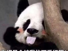 -麦当劳(凯德广场店)