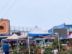 -中环花鸟鱼虫市场