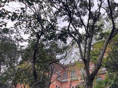 -上海佘山国家森林公园西佘山园