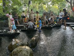 -成都市活水公园